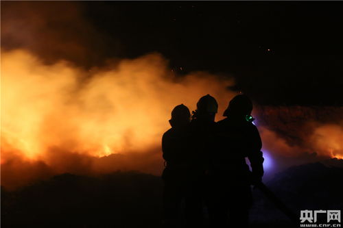 四川消防成功阻断西昌森林火灾火势向重点场所蔓延