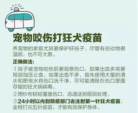 哪些急救措施可以最快有效地处理被蜜蜂蛰的问题？