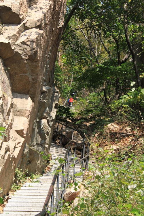 丹东五龙山位于辽宁省丹东市北郊,旅游,五龙山,好一派缤纷秋色