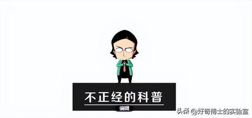 为什么女人不敢只穿内衣出门,却敢穿比基尼瞎晃悠