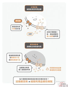 为什么我不建议你采用生酮 低糖 饮食法减肥