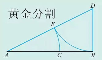 黄金分割的应用和具体的原理???