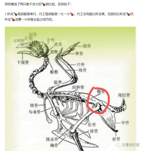 买海岛 do脸百万贵妇狂嘲晚晚,不料一夜落魄只能卖x