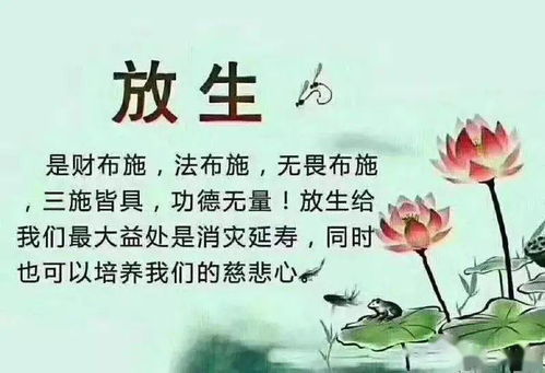 放生积德改运 一福压百祸