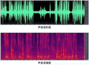 暗区突围声纹机机制是什么 声纹机制介绍(暗区突围转身声纹测试)