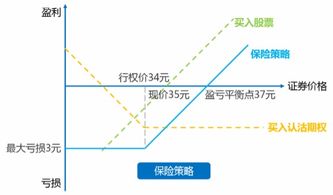 某投资者购买一份股票欧式看涨期权，执行价格为100元，有效期2个月，期权价格5元，