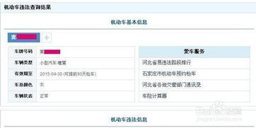 怎样用车牌号码查询车辆信息 