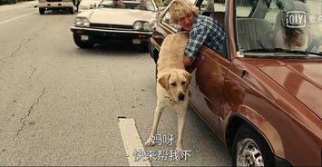 神犬小七和巴迪系列比简直不在一台阶国外狗狗电影不单是跑跑跳跳无聊琐事