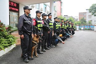 扫黑除恶进行时 雨夜突袭,上林警方 剑指 涉赌违法犯罪