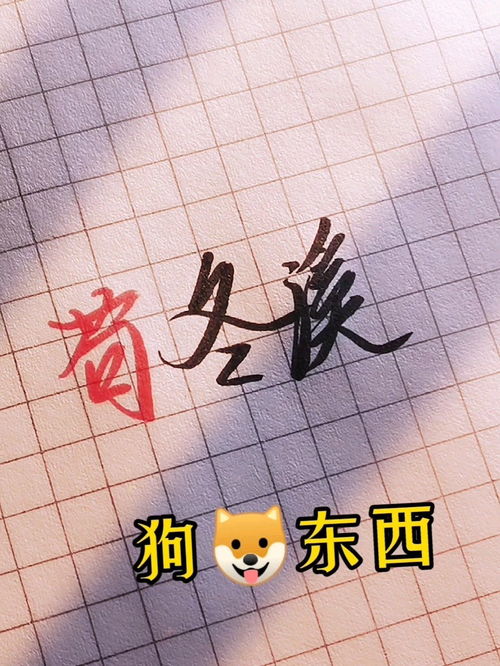 被姓氏毁掉的名字100个（盘点那些被姓氏毁掉的名字）