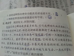 用快乐的同桌造句;同学造句一年级短句？