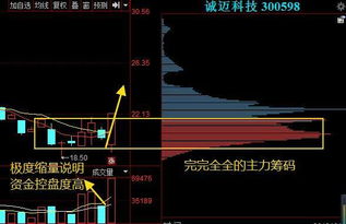 下周哪支股看涨