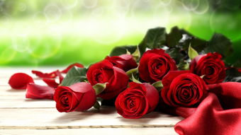 男生送16朵玫瑰用意 男生送女生16朵红玫瑰什么意思