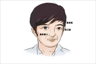 分析一生富贵 看看男人面相痣相大全图解 