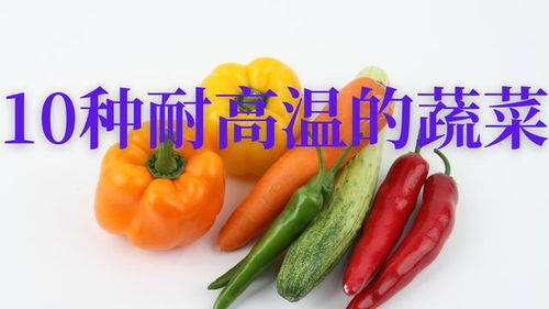 10种耐高温的蔬菜 夏天什么菜不怕晒 你知道吗