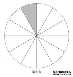 第十宫的含义 图 