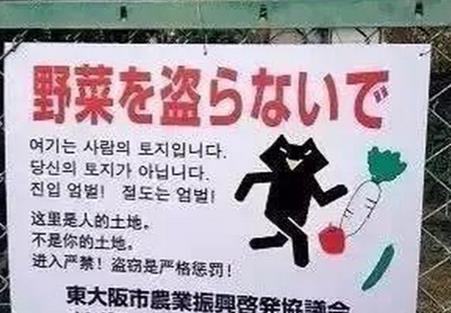 日本街头的中文翻译毁三观,网友 反正中国人日本人都看不懂