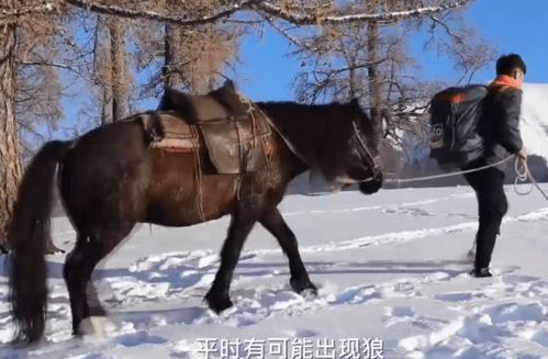 骑马的不一定是王子,也可能是快递员 新疆快递员走红网络