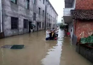 道路被淹 房屋涨水 昨天新余到底经历了什么