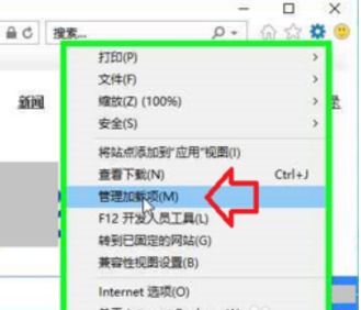 win10游览器如何设置flash加载项