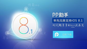 pp助手电脑版(为什么pp助手电脑版连不了手机呢？)