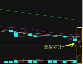 飞狐里 如何永久删除一只股票？