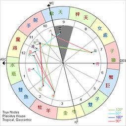 宫位解析 详解第九宫在占星学中的意义 