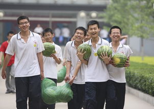 学校发的种子是什么种