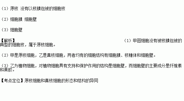 下面是两类细胞的亚显微结构模式图.请据下图回答 1 甲图细胞属于 细胞.判断的理由是 . 2 甲.乙两图的细胞均有的结构名称是核糖体. 和 . 3 乙图中.对细胞有支持和保护作用的结构是 