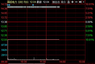 国投电力什么时候复牌呀？