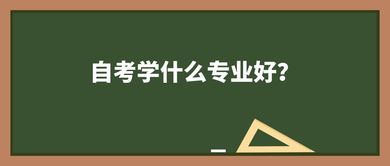 自学学什么好点