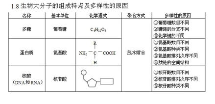 上海高中生物知识点