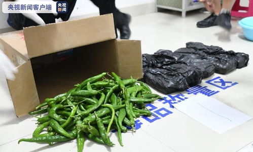 缴毒超12公斤 云南警方破获利用蔬菜运毒案