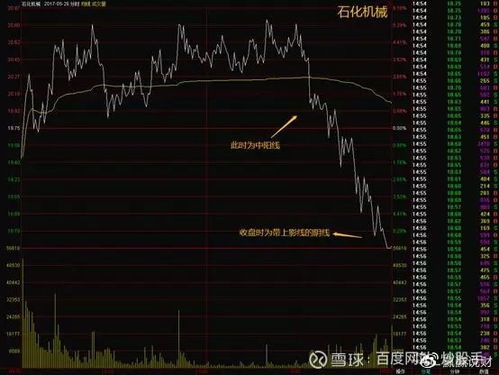 开盘时出现大量买单拉高股价，然后一路跳水，是庄家出货吗，请高手解释一下