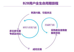 从用户全生命周期,看B2B企业如何做数字营销