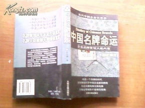 中国名牌命运 企业品牌策划大战内幕