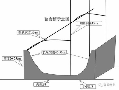 猪舍整体布局设计图 细节尺寸图纸