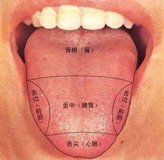 咬咬舌头,就能治这么多的病 太神奇了