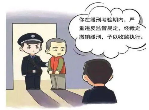 视频 缓刑期间再违法,会有什么法律后果