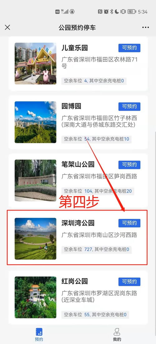 深圳湾停车场怎么预约(大澳村免费停车场在哪预约)