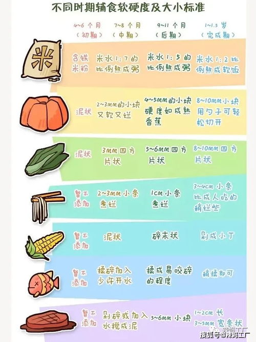 科学膳食搭配 宝宝辅食怎么做 攻略奉上