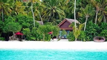 马尔代夫尼亚玛岛旅游(马尔代夫5星级岛屿排名)