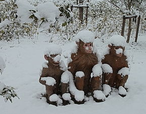 周公解梦梦见下雪了