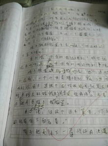 争论作文500字初一？争论作文500字初一 争论初一作文500字范文