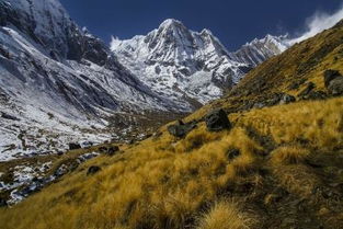 屋上土命住几楼好,屋上土命选择房子住几层最好