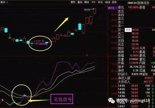 做股票的有多少人在挣钱