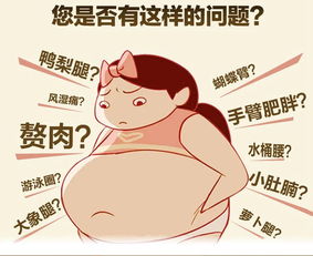 如何快速减肥、 帮个忙吧