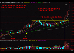 股票均线基础 股票20日均线战法 股票均线怎么看