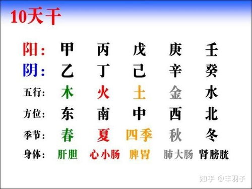 四柱八字宫位取象