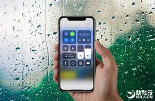 iPhone X开卖后现身闲鱼 报高价的并不多